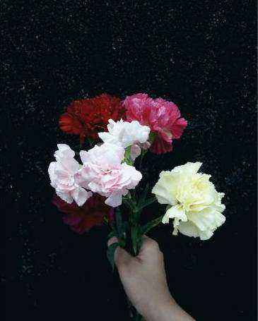 Floristry practice