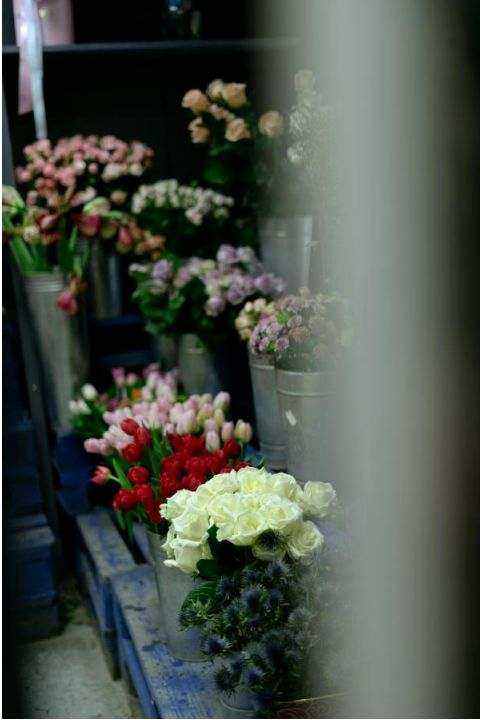 Contact Primeflowerart