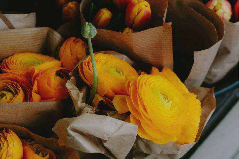Floristry training legal