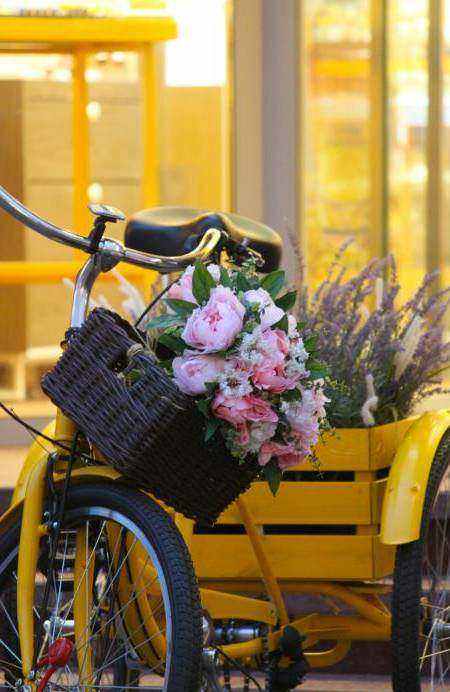Sustainable floristry course in Queensland