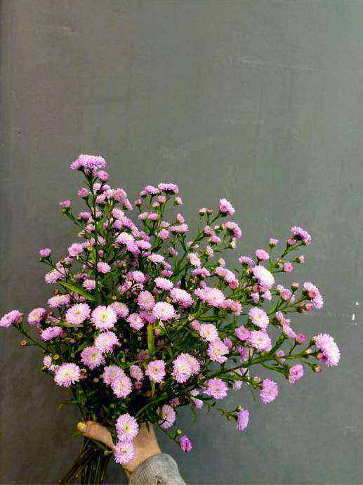 Native stems arrangement